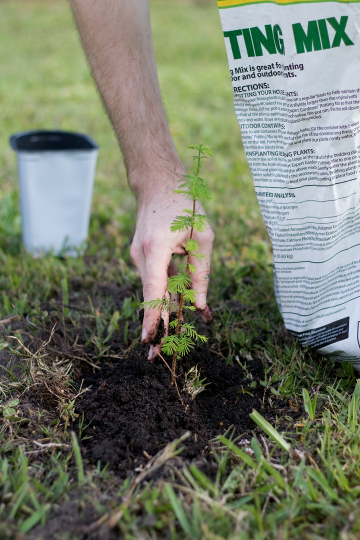 Environmental Management